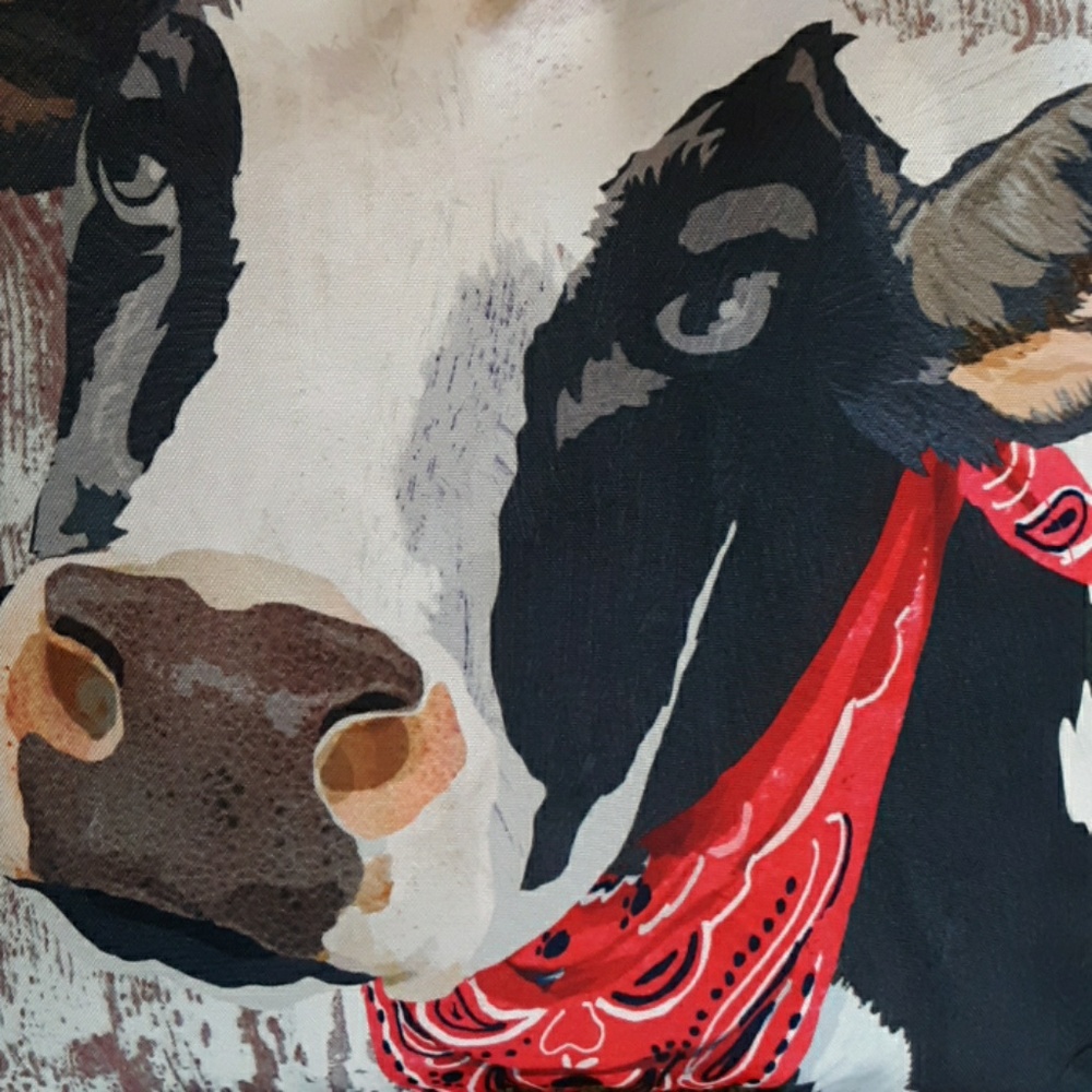 Cow pillow - Picture 3 of 3